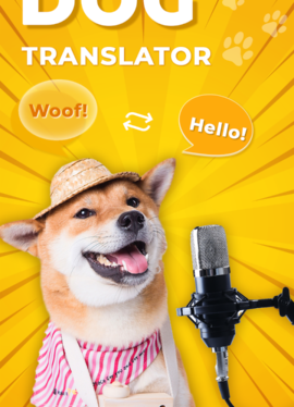 dogtrans